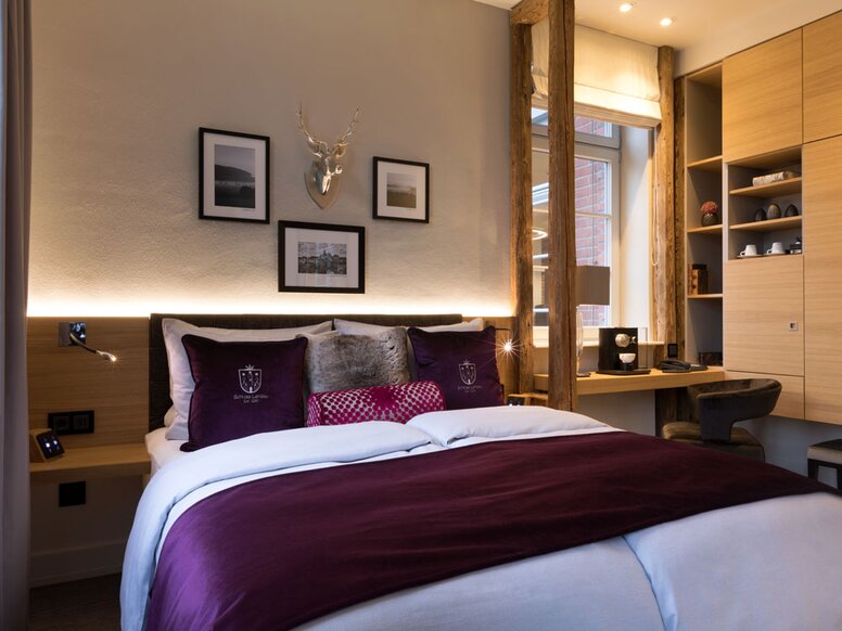 Hotel Brunnenhaus in Landau Hotel room